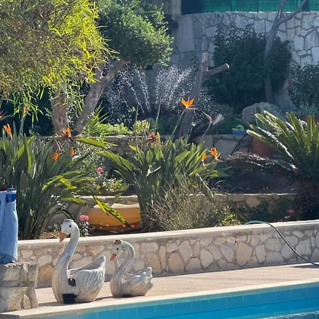 Sea View With 3 Bedrooms & Infinity Pool Villa