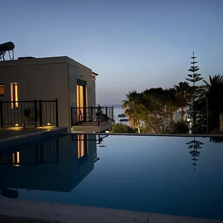 Sea View With 3 Bedrooms & Infinity Pool Villa Mesokhórion